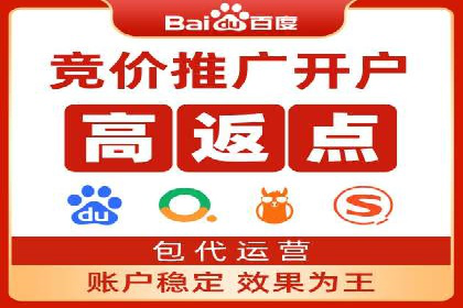 案例研究：SEM推广助力企业业绩增长